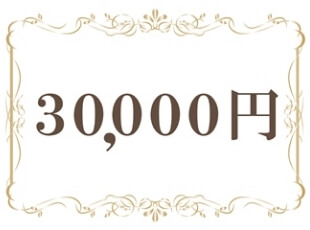 30,000円（税込）
